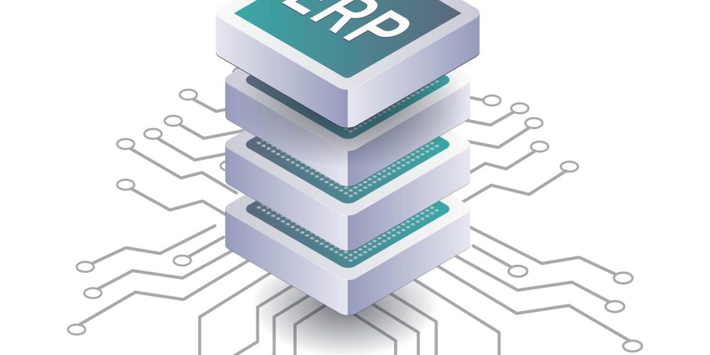 Optimizing Business Performance with ERP Database Solutions